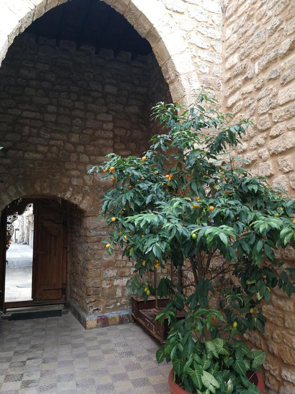 Bed and Breakfast Dar Camelia Тир Екстер'єр фото